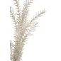 BULRUSH BRĄZOWY 35X93 cm MIN 18